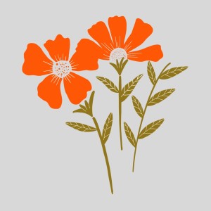 Sunny Flowers