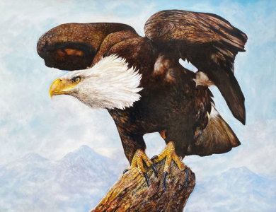 The Sentinel of the Skies