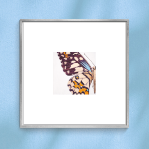 $10 - g-ma - 12 x 12 inch edition