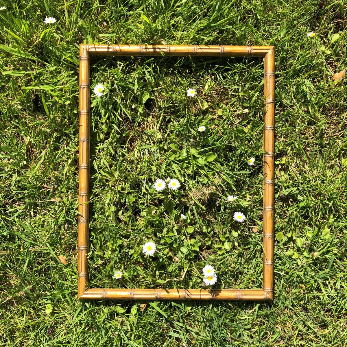 bamboe-fotolijst-jill