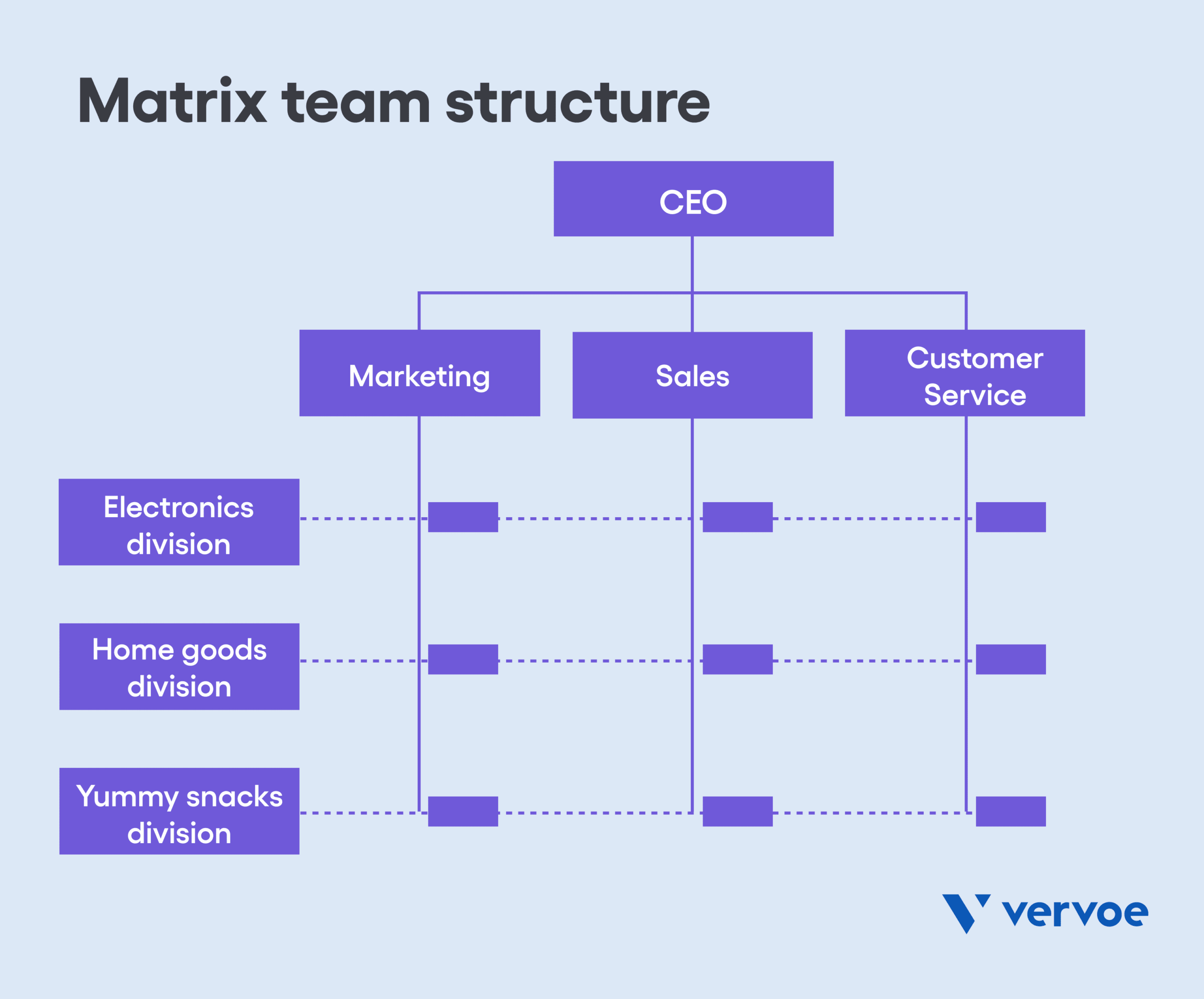 Matrix team structure