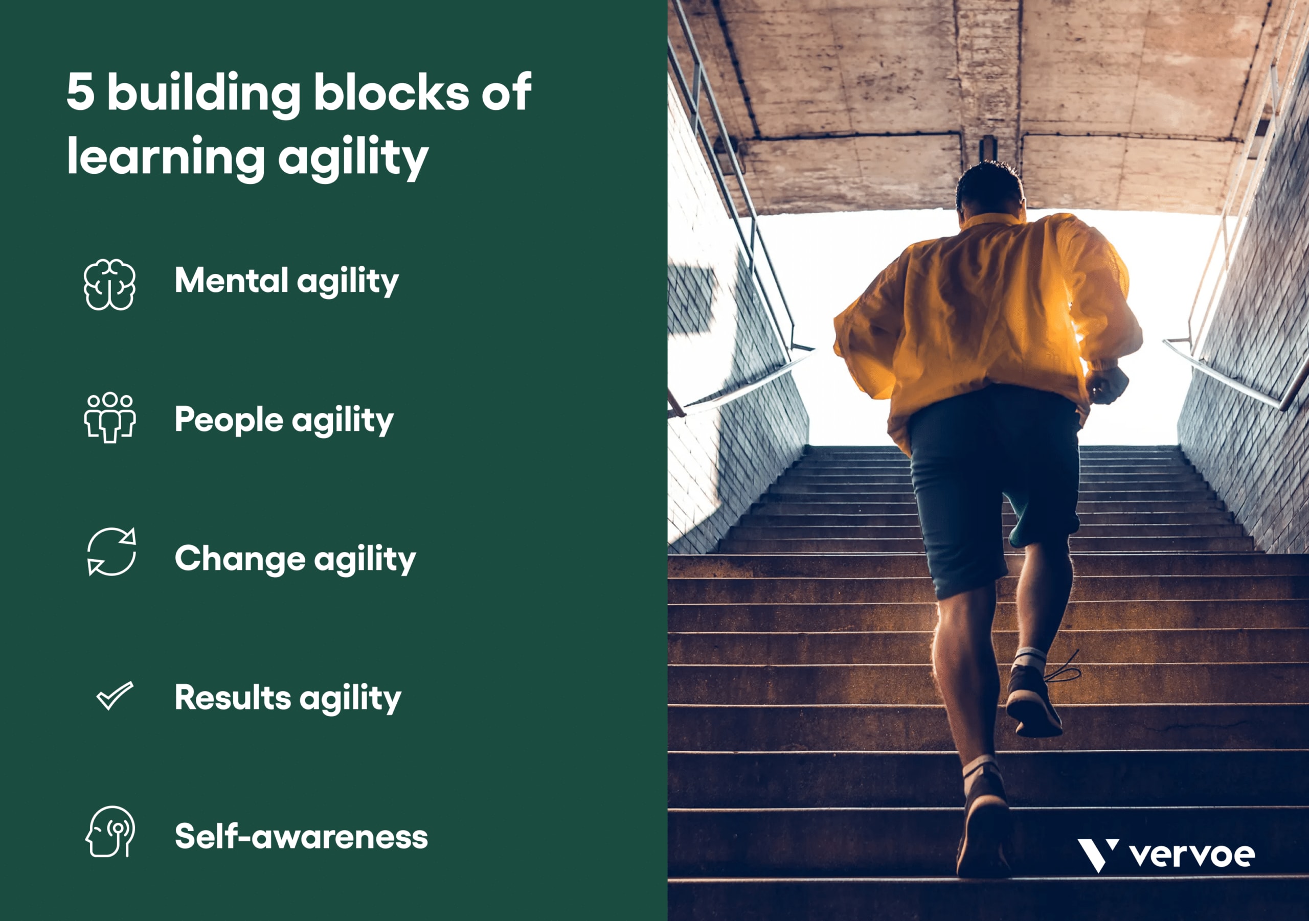 5 building blocks of learning agility