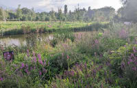 almaty-botanical-garden-01
