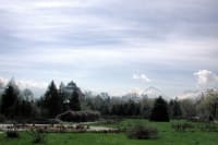 almaty-botanical-garden-06