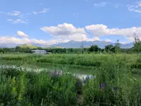 almaty-botanical-garden-10