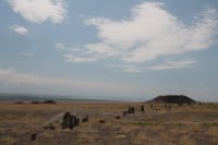 besshatyr-scythian-mounds-05