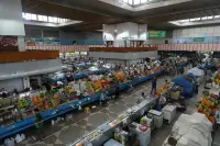 green-bazaar-13