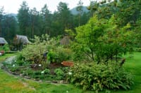 altai-botanical-garden-03