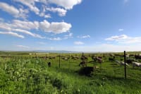 east-kazakhstan-01