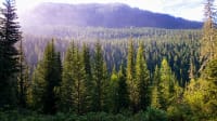 east-kazakhstan-10