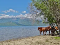 markakol-lake-17