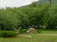 sunkar-falcon-center-07