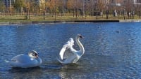 astana-botanical-garden-03