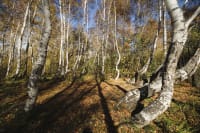 burabay-national-park-10