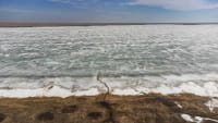 korgalzhyn-nature-reserve-06