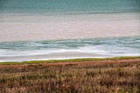 korgalzhyn-nature-reserve-15