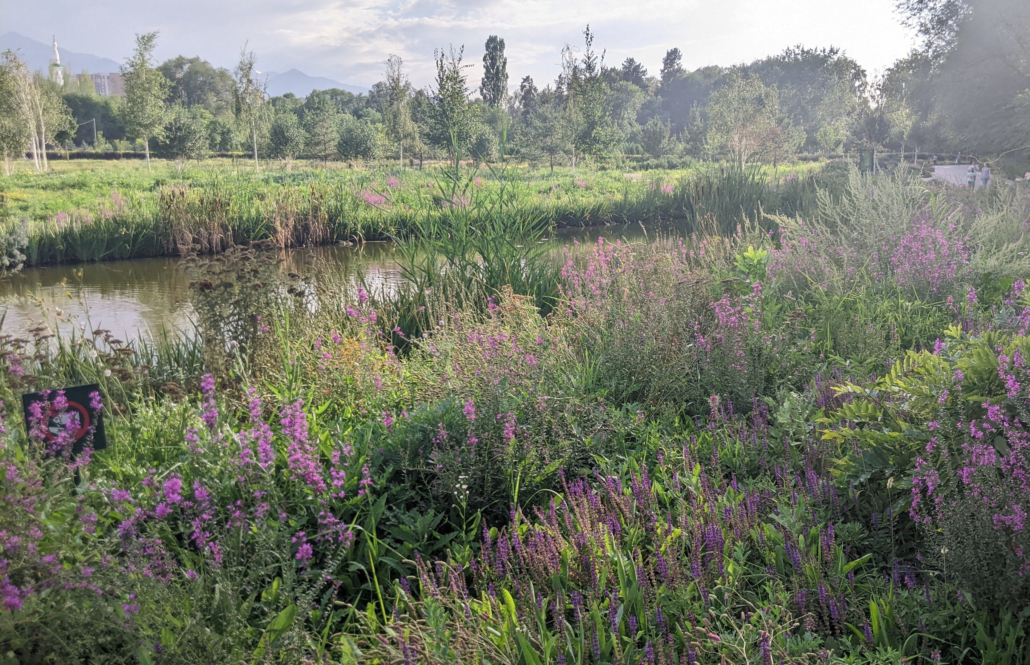 almaty-botanical-garden-01