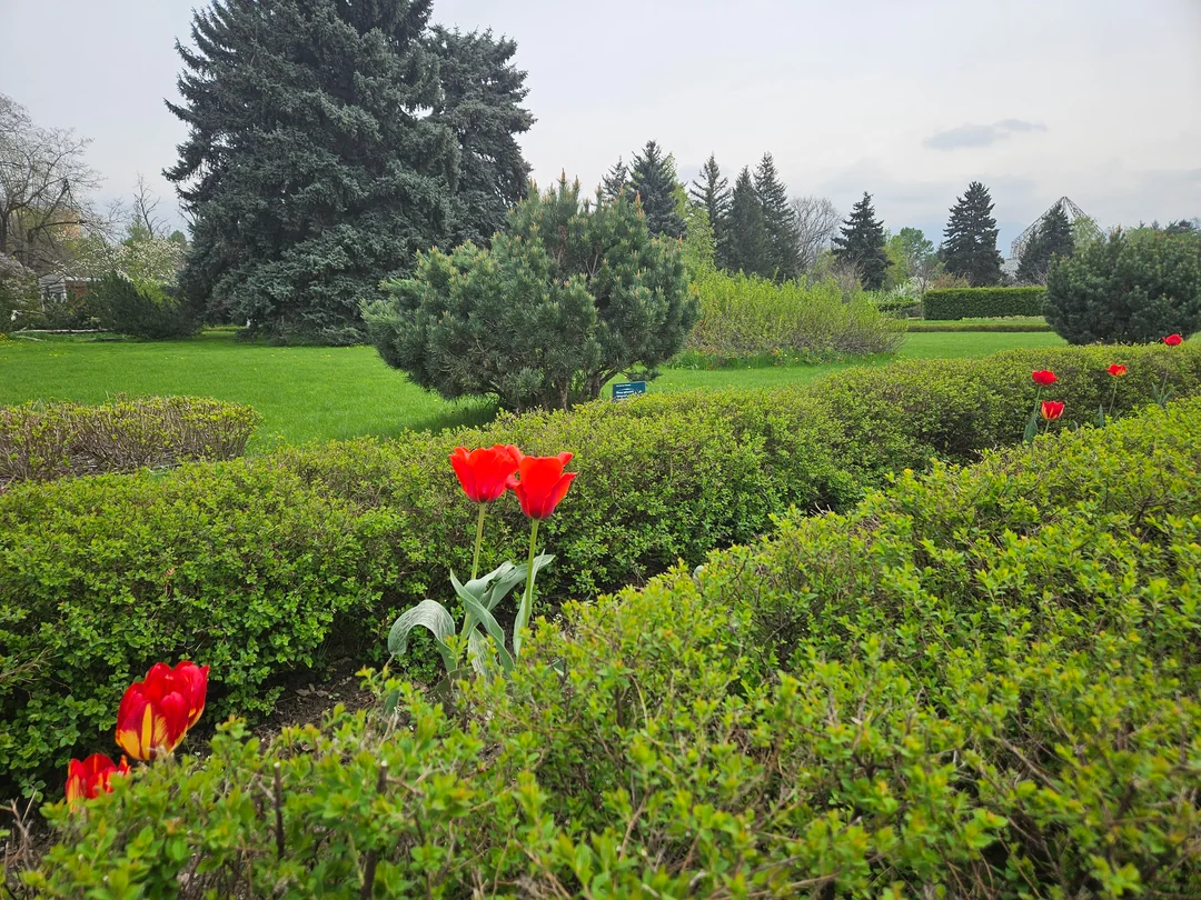 almaty-botanical-garden-11