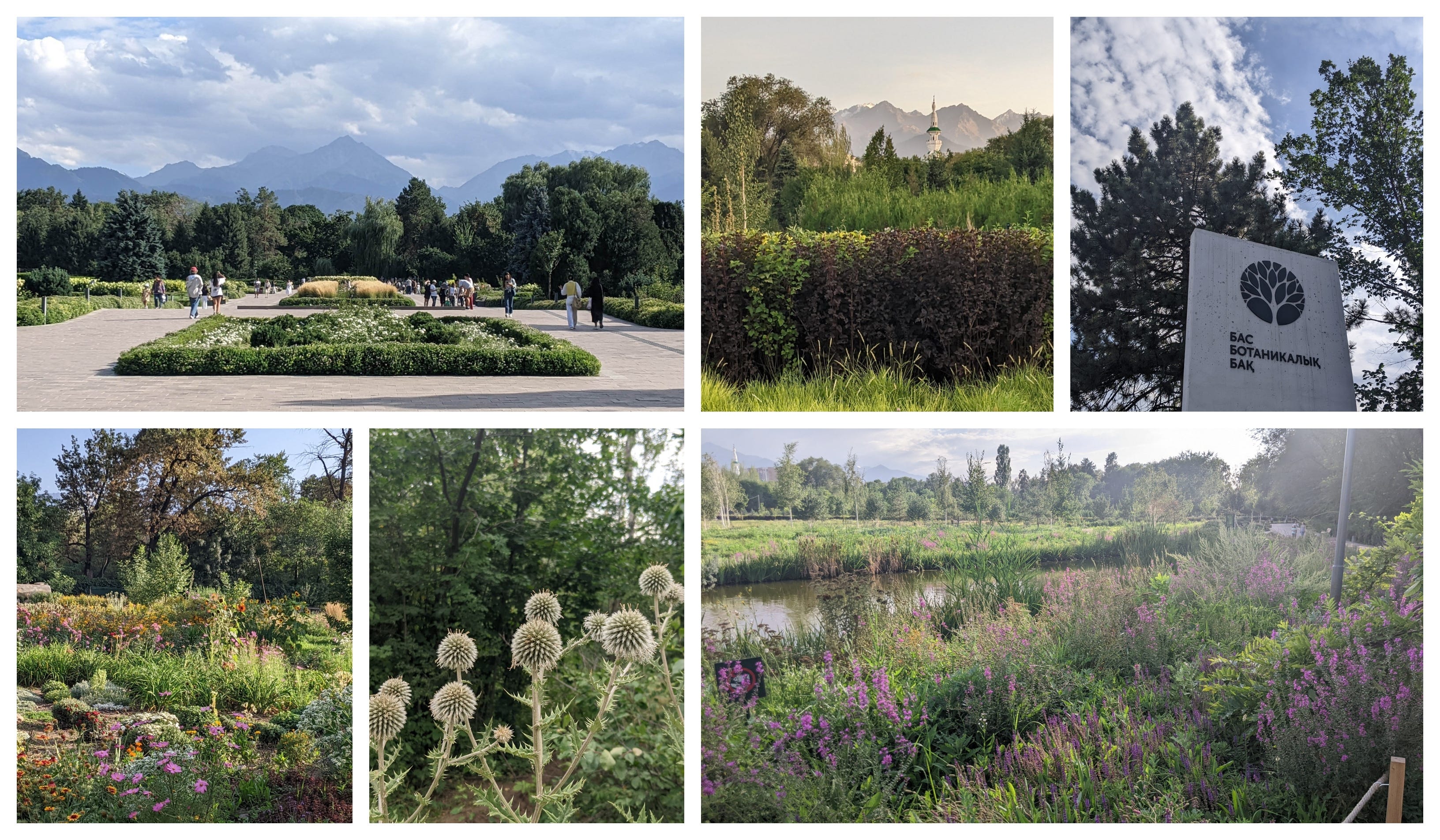 almaty-botanical-garden-12