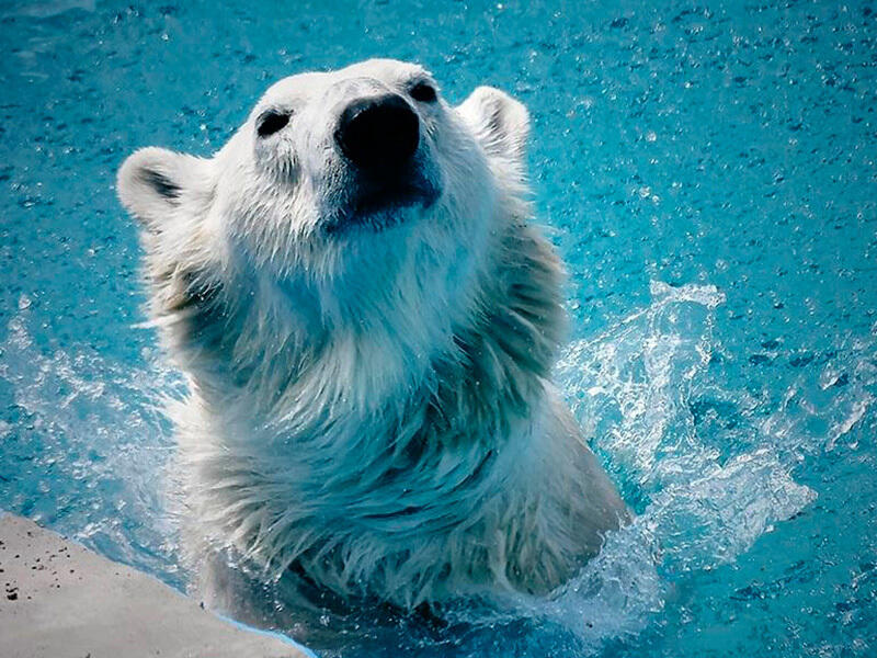 almaty-zoo-03