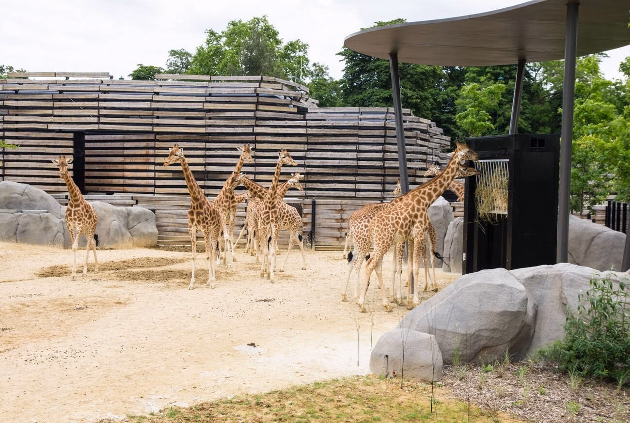 almaty-zoo-06