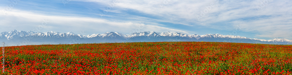 almaty_city-36