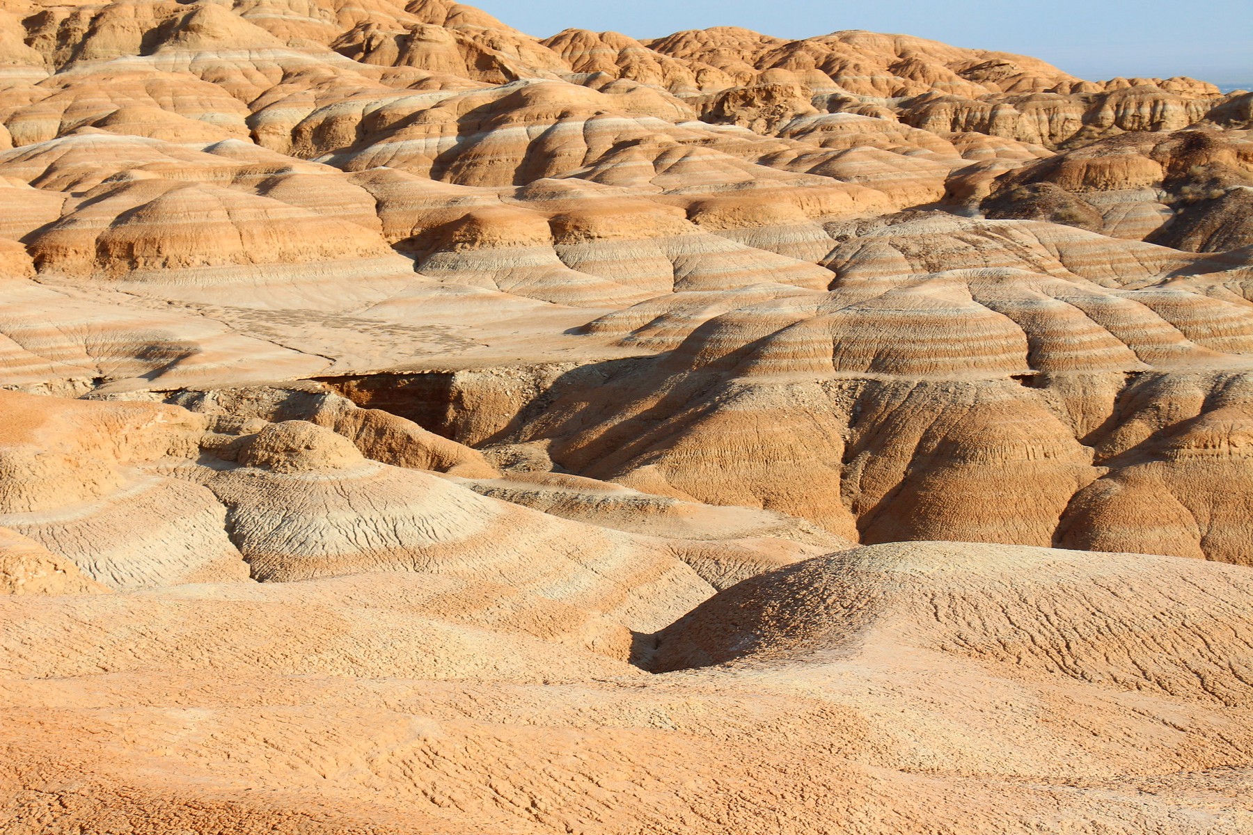 altyn-emel-national-park-02