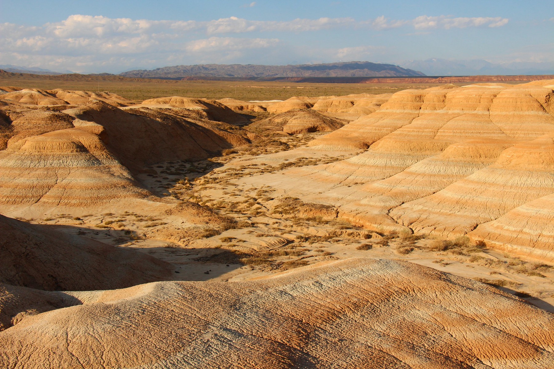 altyn-emel-national-park-09