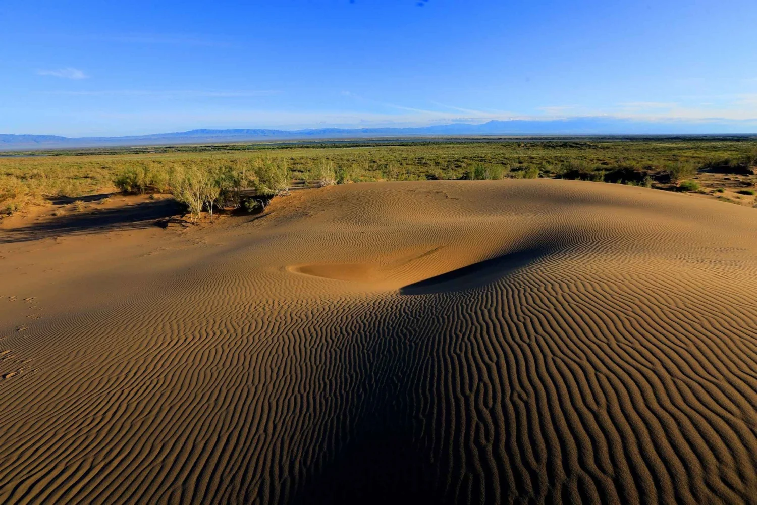 altyn-emel-national-park-11