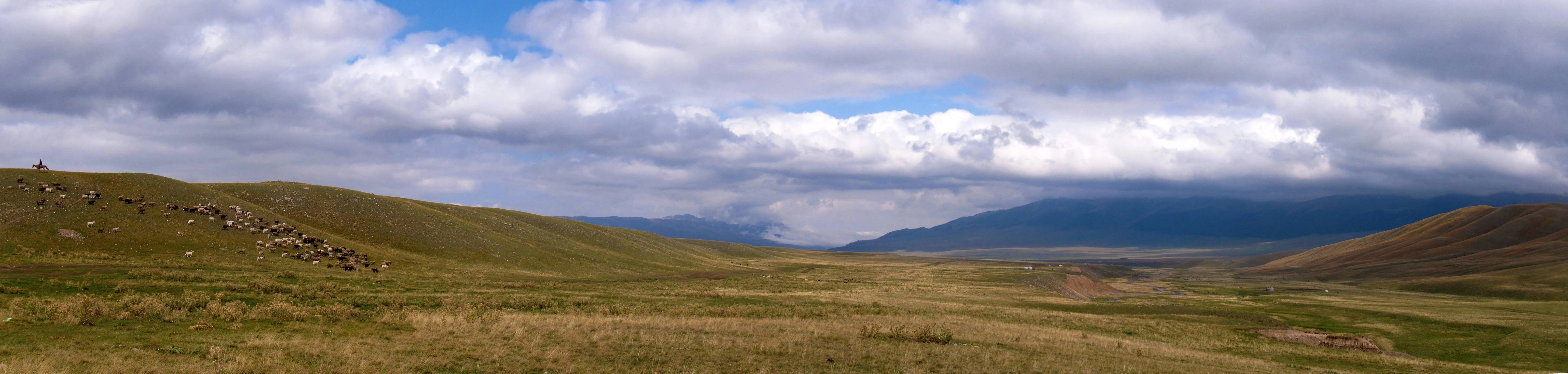 assy-plateau-14
