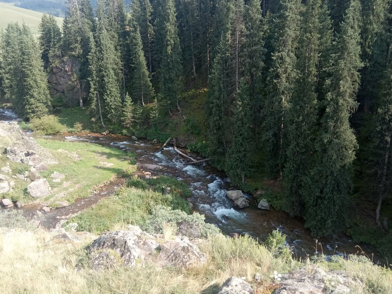 assy-plateau-16