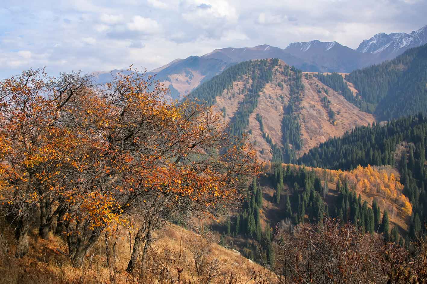 kok-zhailau-09