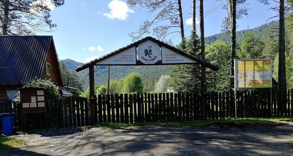 altai-botanical-garden-02
