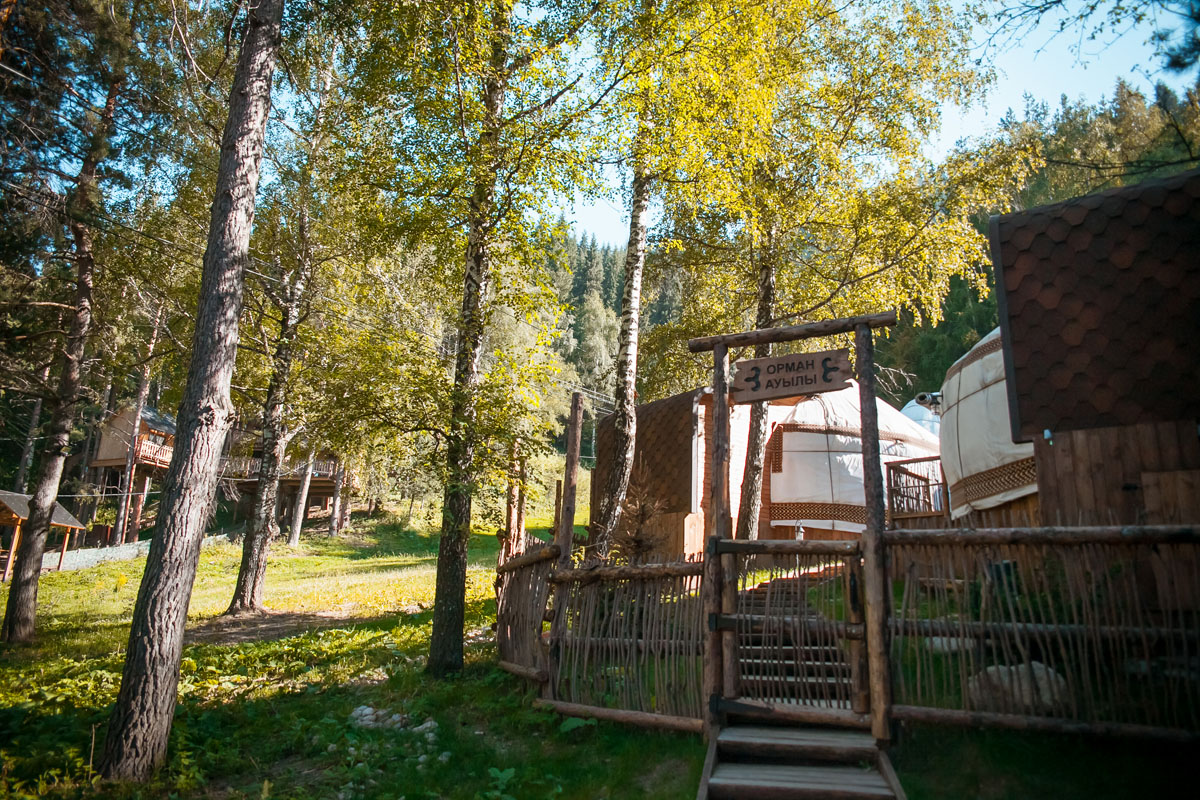 lesnaya-skazka-oy-karagay-02