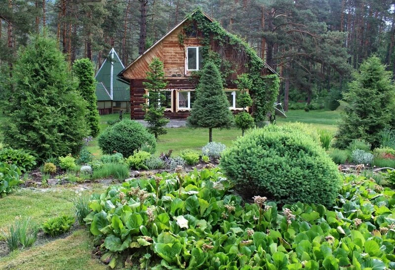 altai-botanical-garden-06