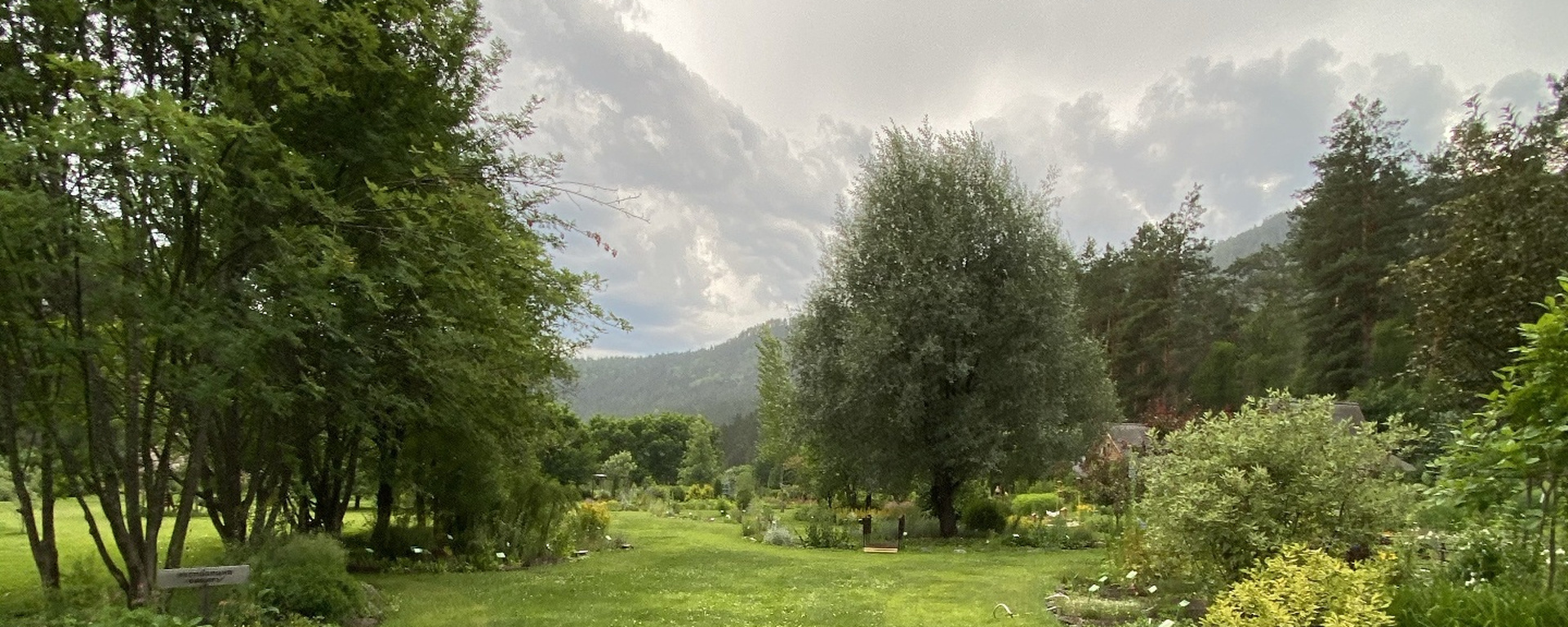 altai-botanical-garden-10