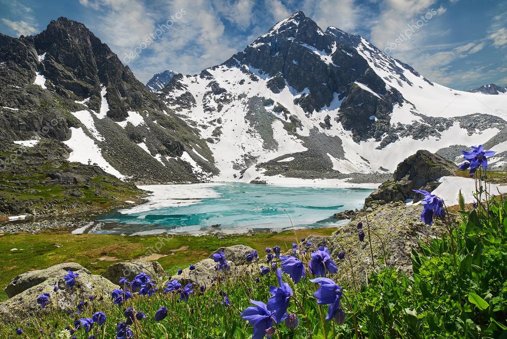 altai-mountains-14