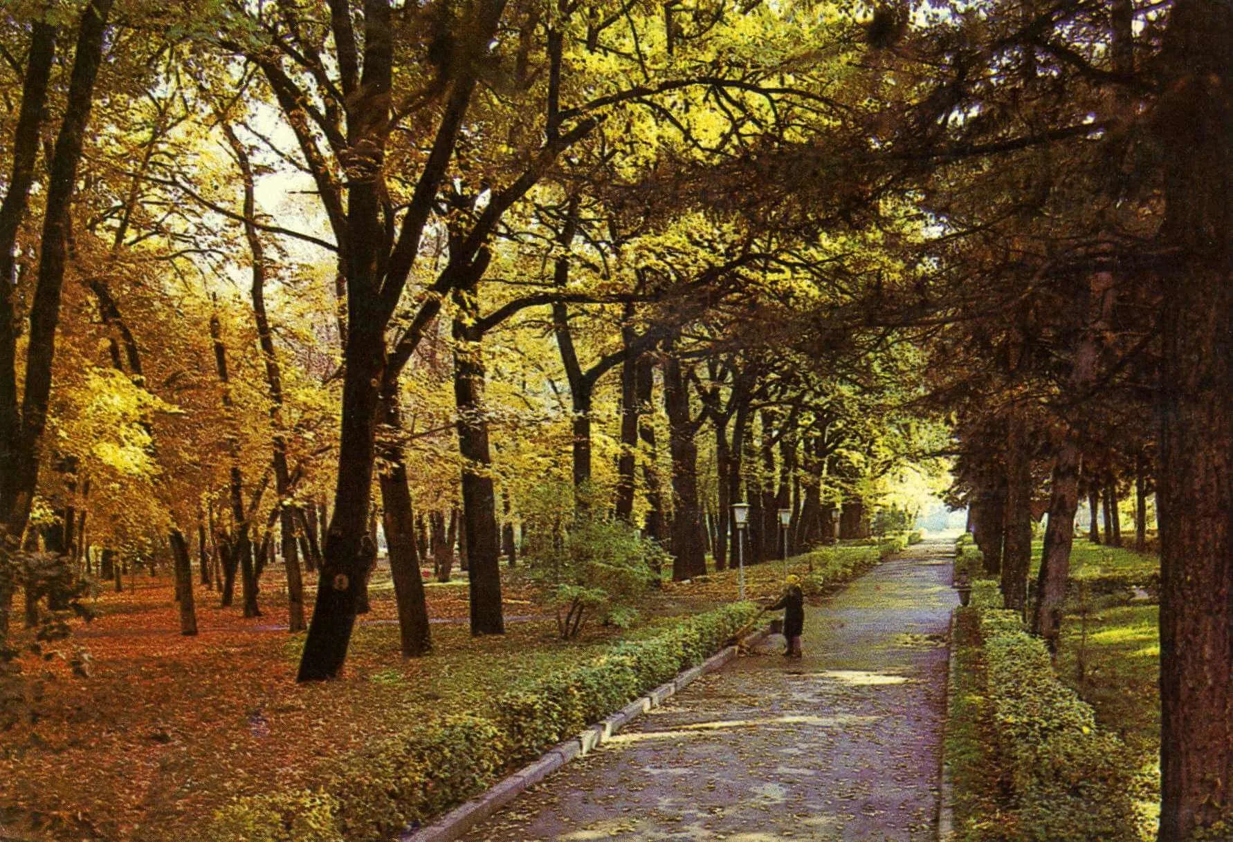 panfilov-park-12