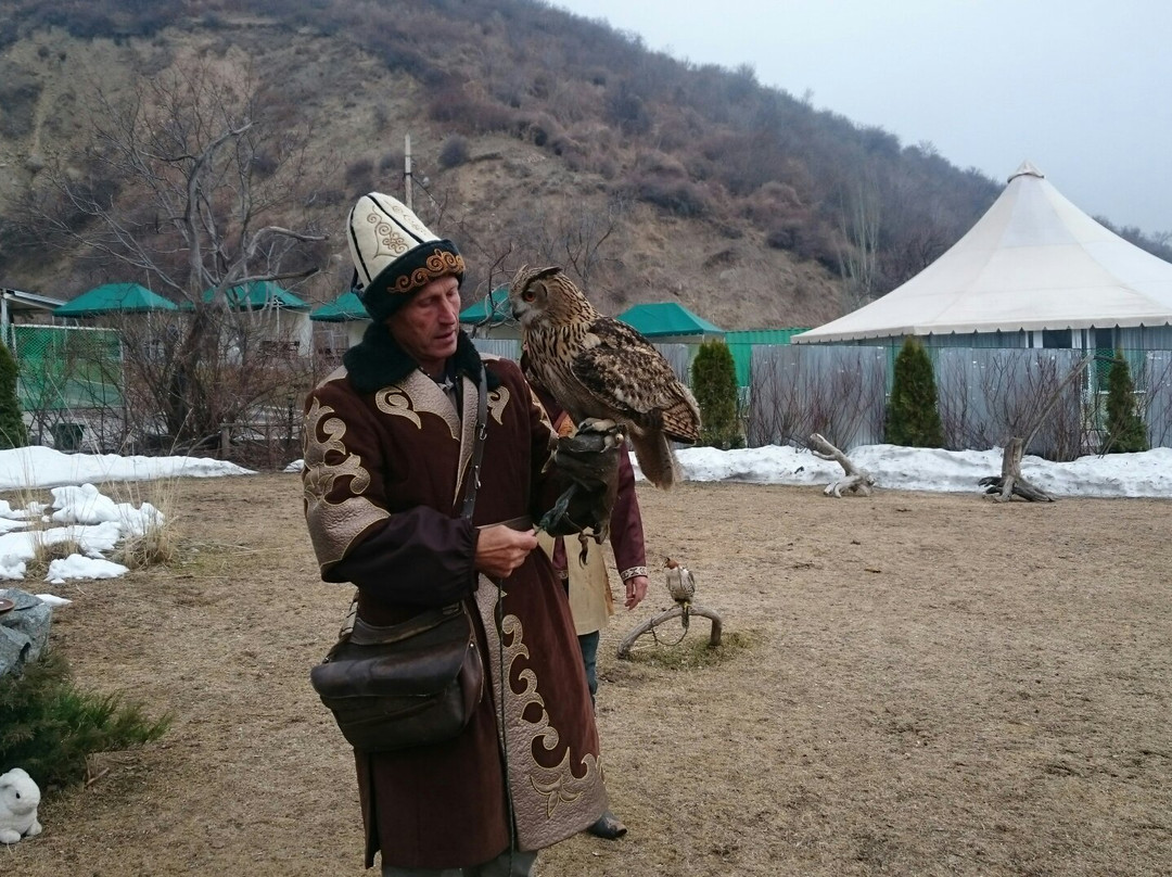 sunkar-falcon-center-02