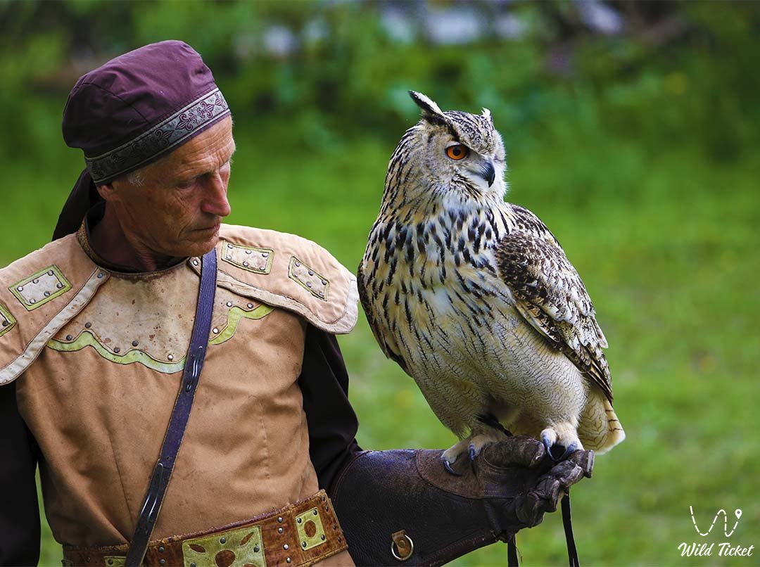sunkar-falcon-center-03