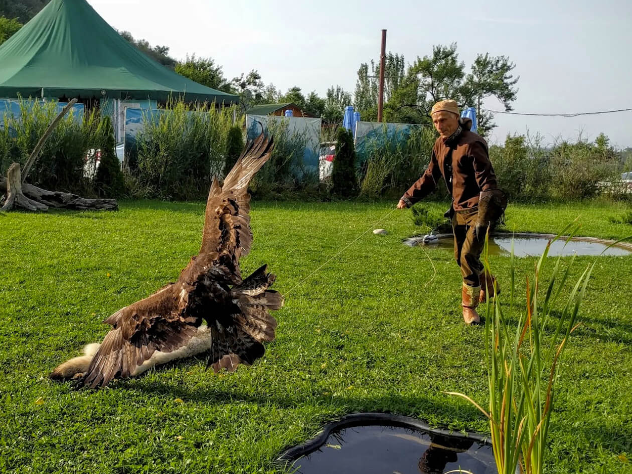 sunkar-falcon-center-06