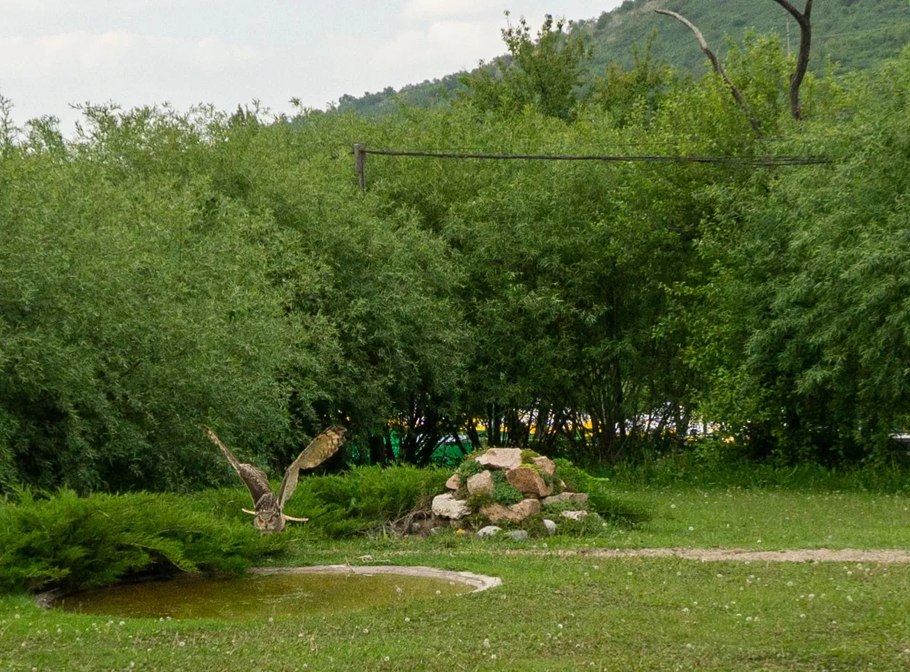 sunkar-falcon-center-07