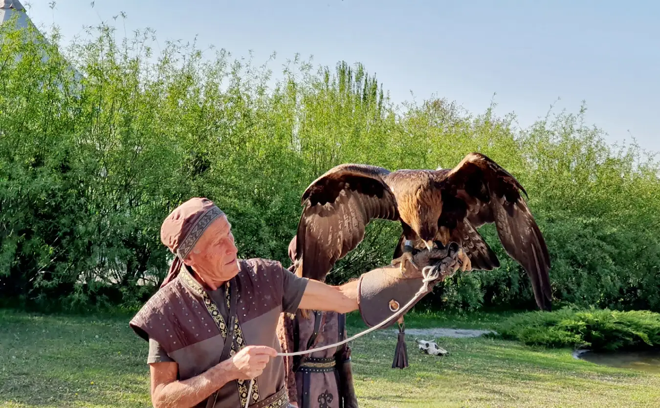 sunkar-falcon-center-09