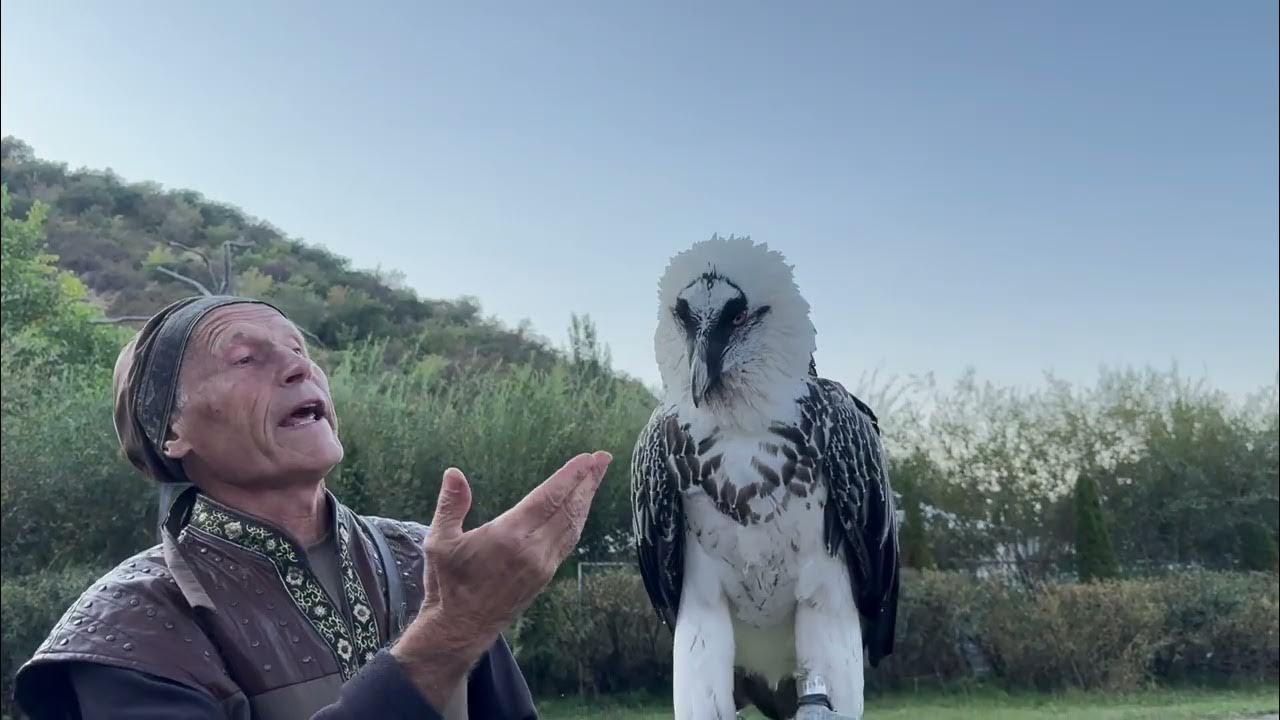 sunkar-falcon-center-11