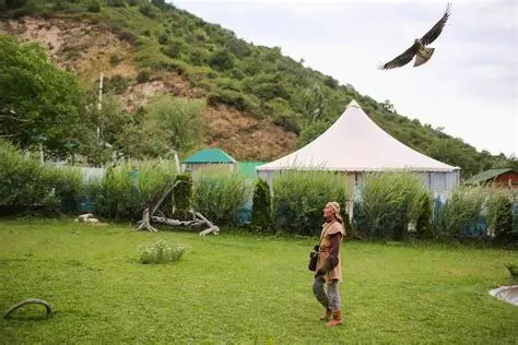 sunkar-falcon-center-12