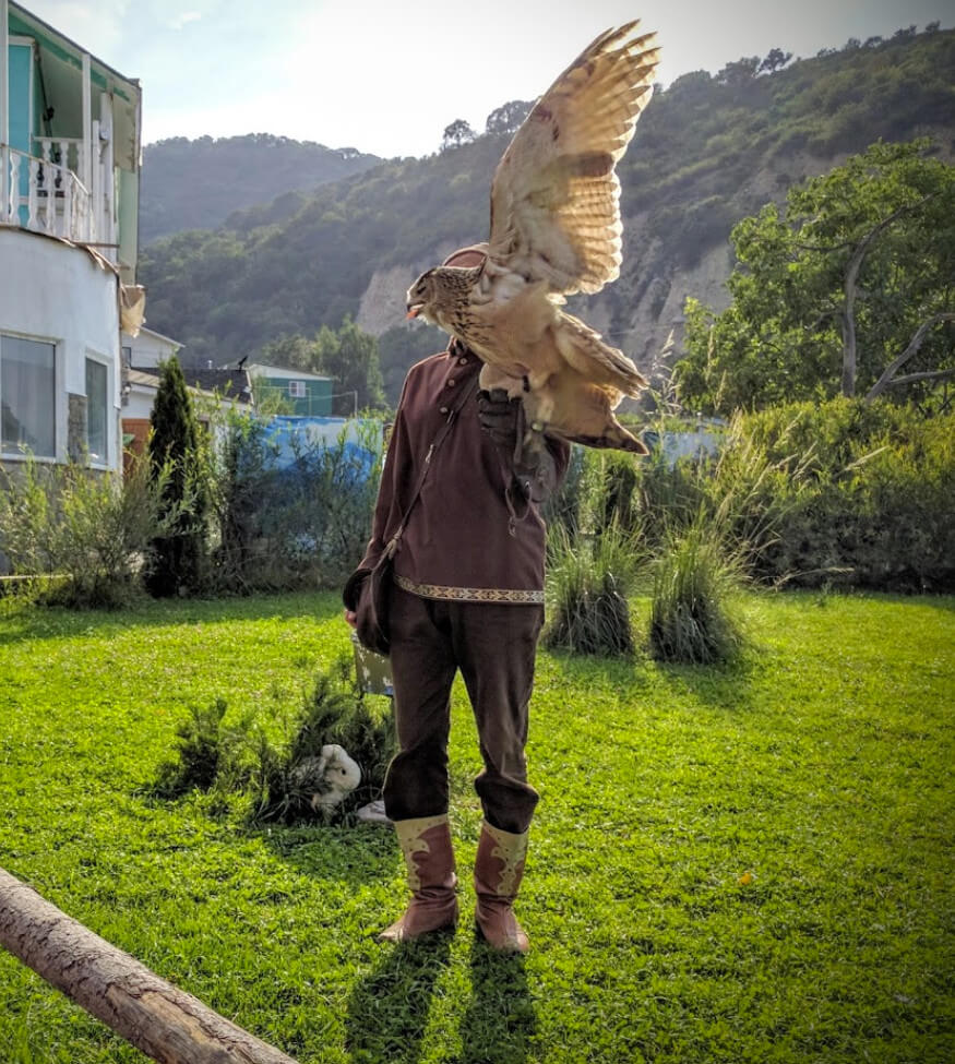sunkar-falcon-center-13