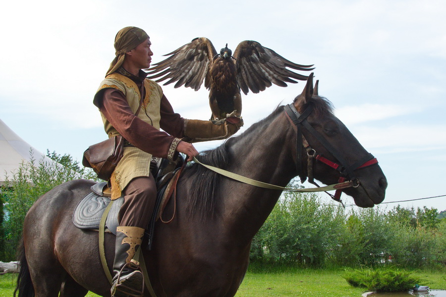sunkar-falcon-center-14