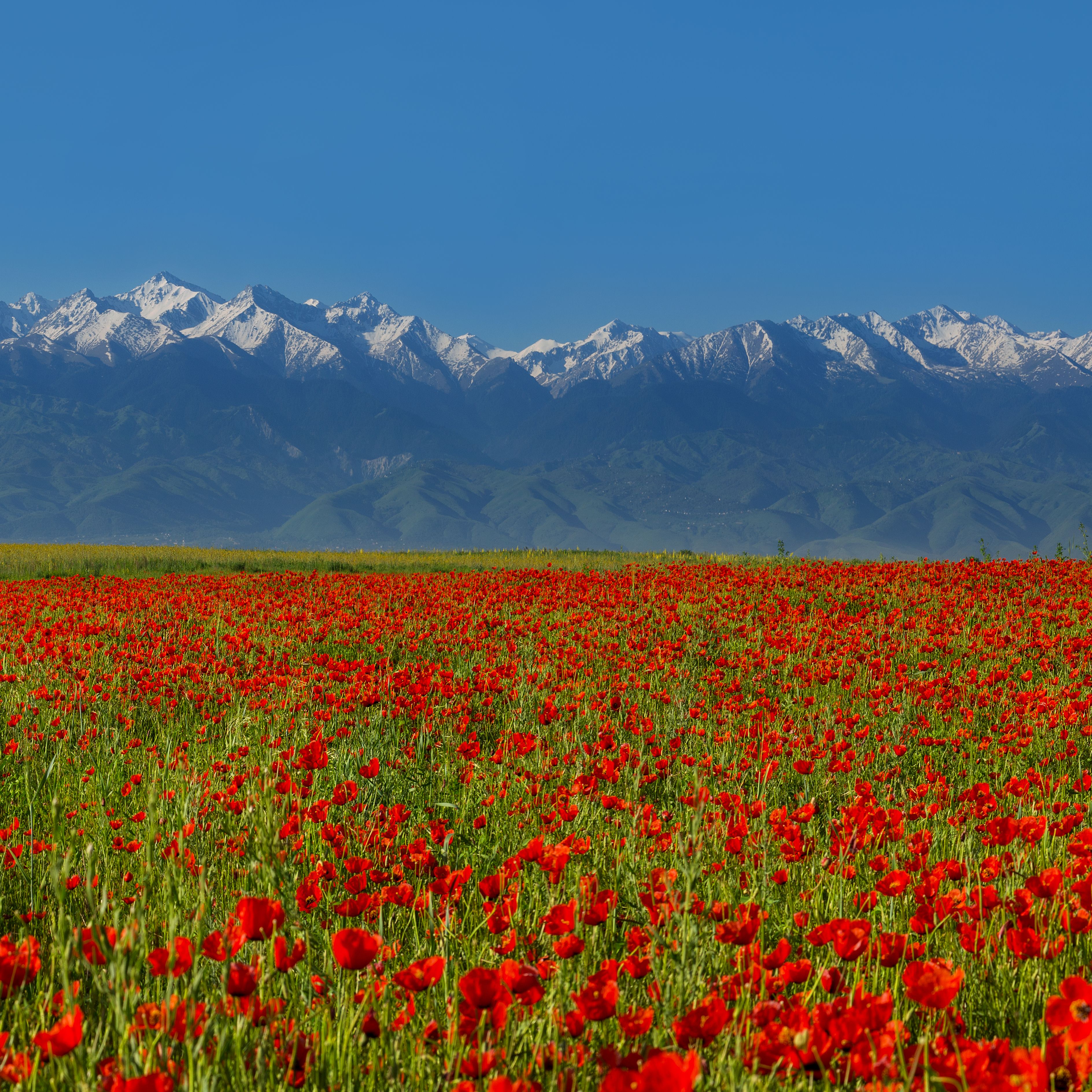 tian-shan-mountains-04
