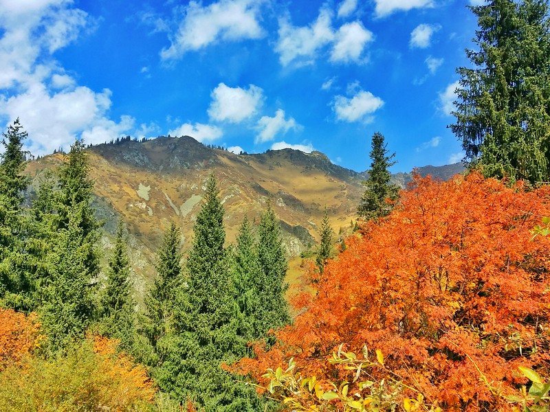 tian-shan-mountains-20