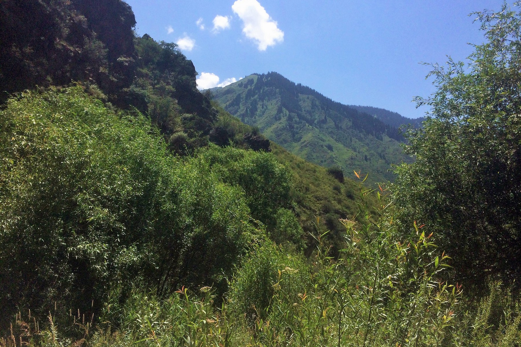 turgen-gorge-08